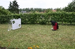 Kloster Altniedorf